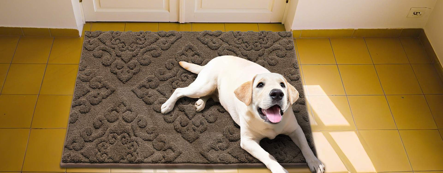 COSY HOMEER Indoor Door Rug