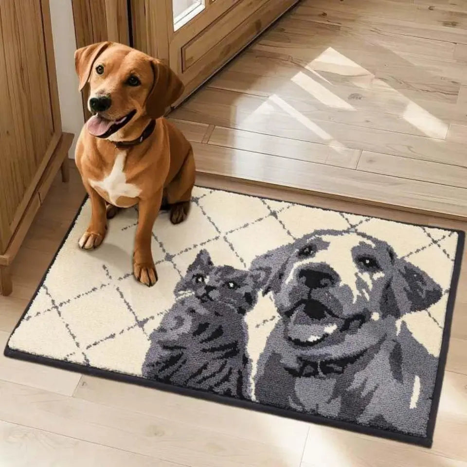 20x32 Grey Pet Door Mats
