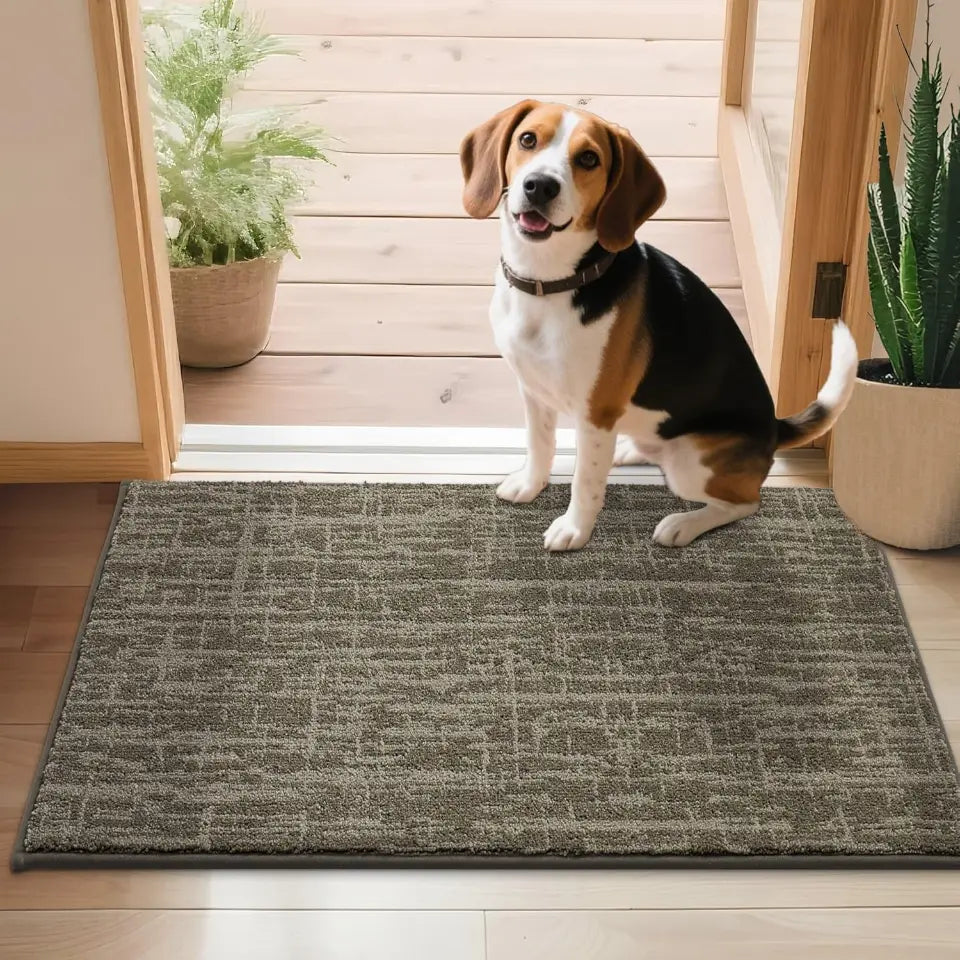 24X36 Light Brown Abstract Carpet Front Door