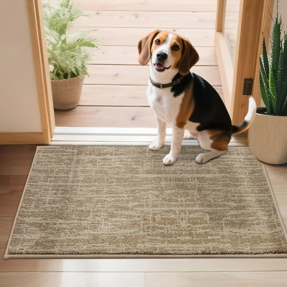 24X36 Taupe Abstract Carpet Front Door
