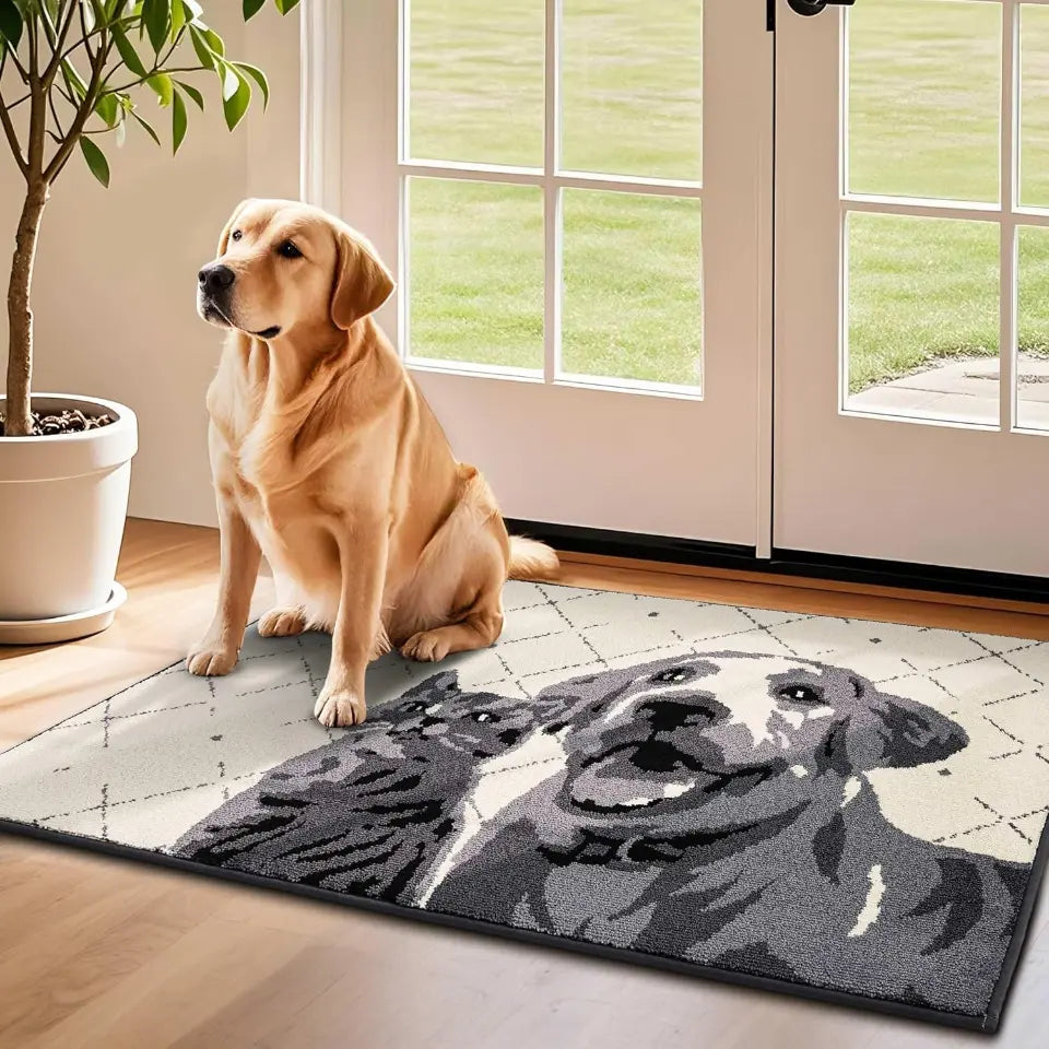32x48 Grey Pet Door Mats