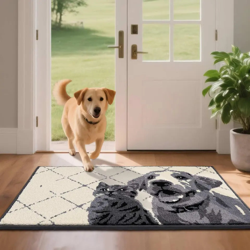 32x48 Grey Pet Friendly Door Mats
