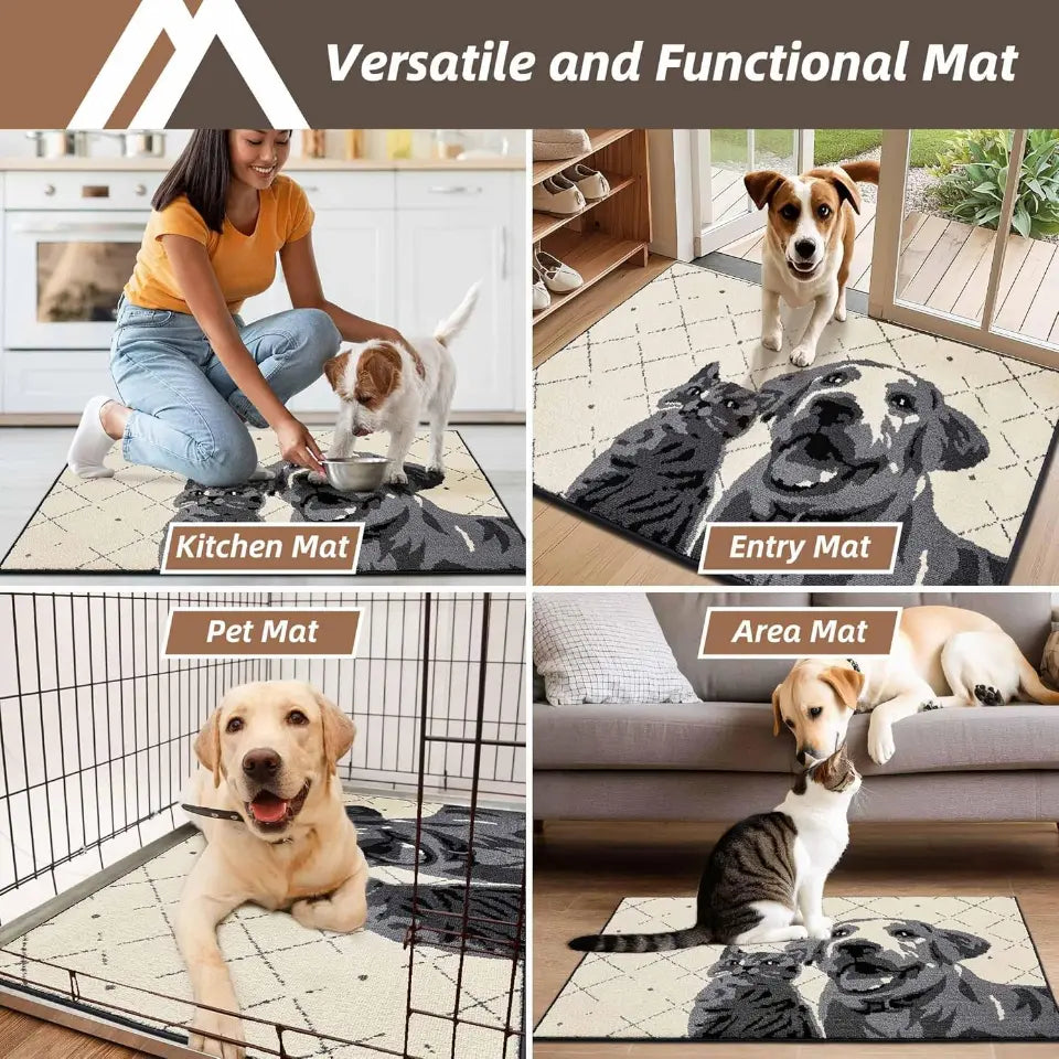 Applications of Pet Door Mats