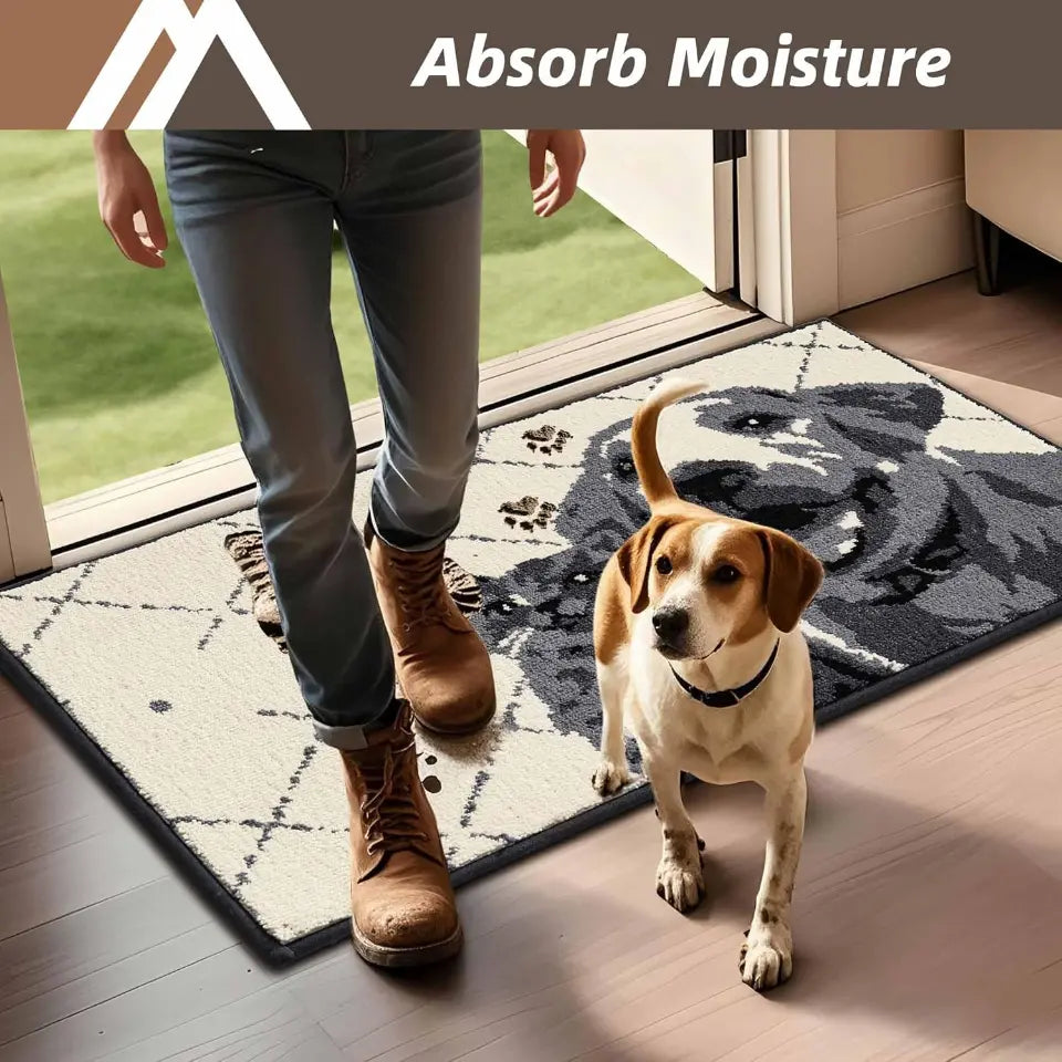 Pet Door Mats Which Absorb Moisture