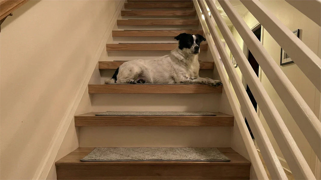 How to Transform Your Dangerous Stairs in 15 Minutes