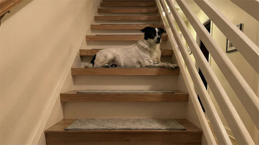 How to Transform Your Dangerous Stairs in 15 Minutes