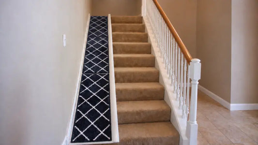 What to Do When Your Dog Suddenly Decides Stairs Are the Enemy?
