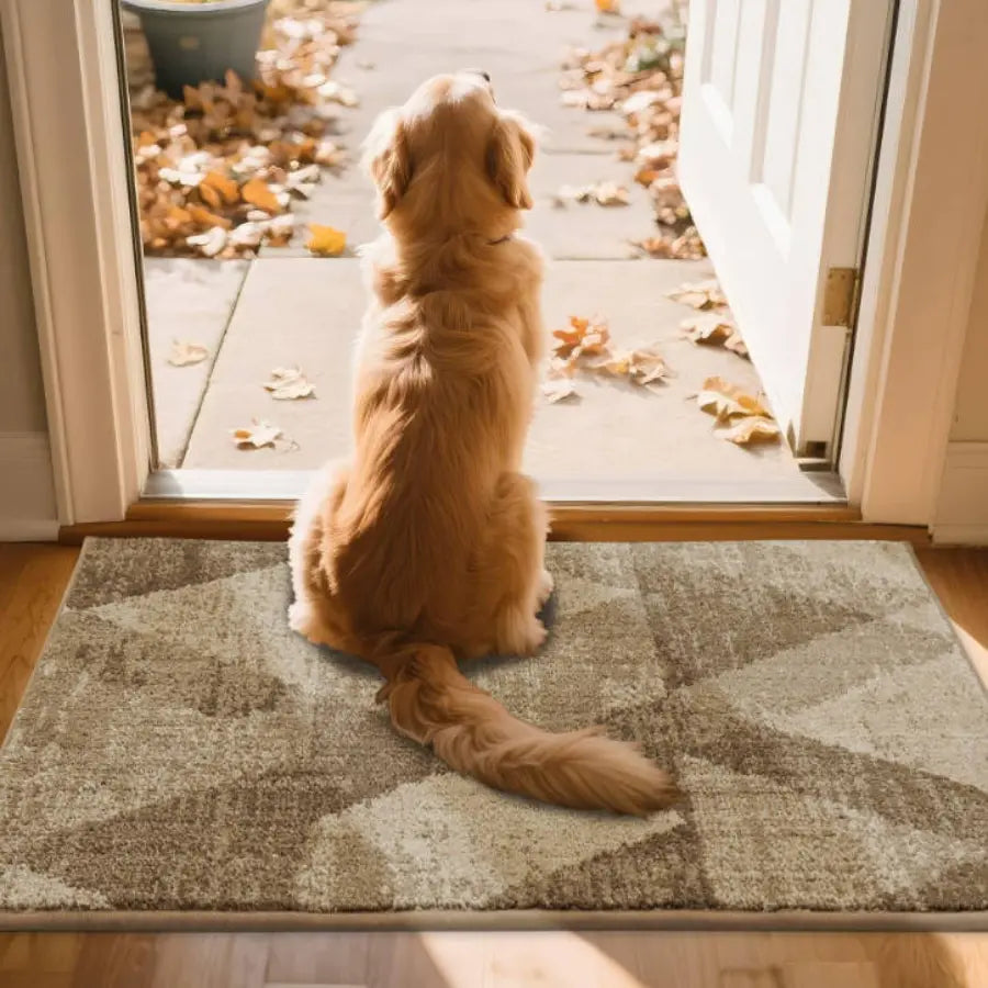 COSY HOMEER Indoor Door Rug