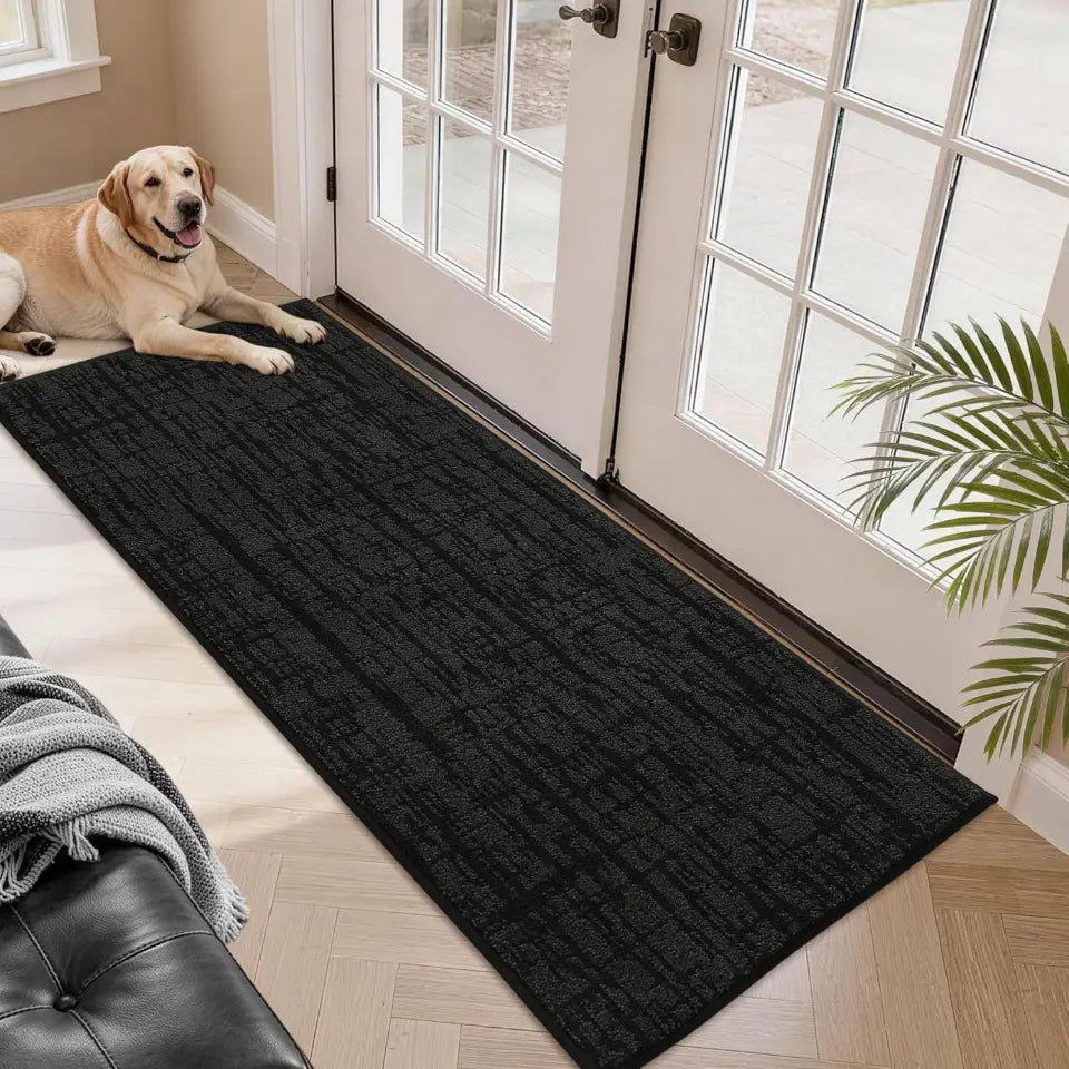 Dog lying on a black doormat in front of a glass door with a couch and plant in the foreground.