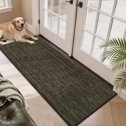 Dog lying on a brown doormat in front of a glass door with a plant nearby
