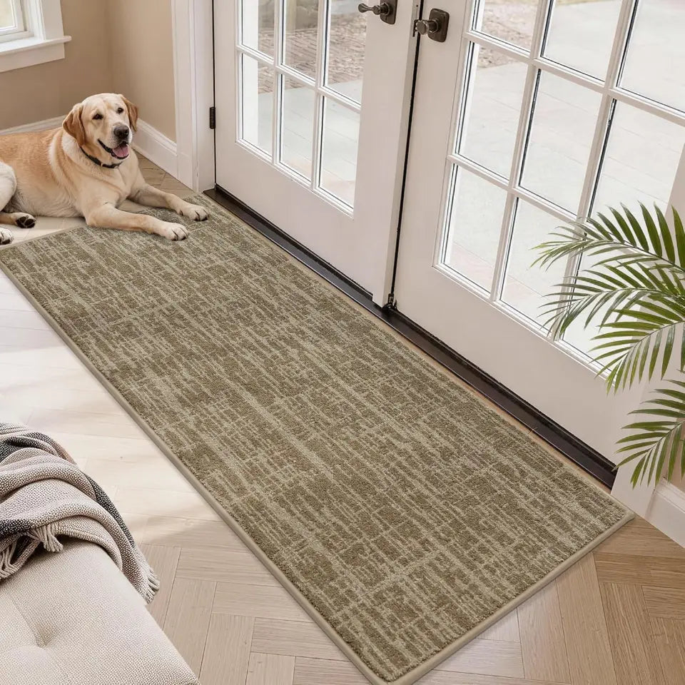 Dog lying on a long beige rug in front of a glass door with a plant nearby.