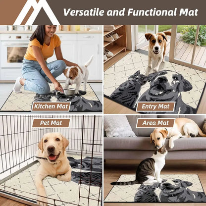 Applications of Pet Door Mats