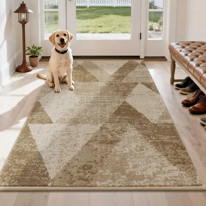 Dog sitting on a beige geometric patterned rug in a room with a bench and shoes.