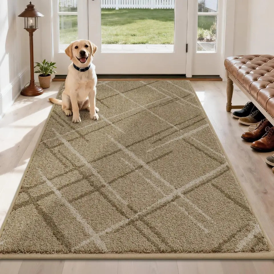 Dog sitting on a beige patterned rug in a home setting with a door leading outside.