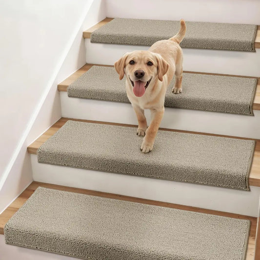 Dog standing on a set of stairs with beige carpeted steps