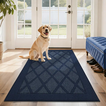 Dog sitting on a blue patterned rug in a room with a blue bench and large windows.