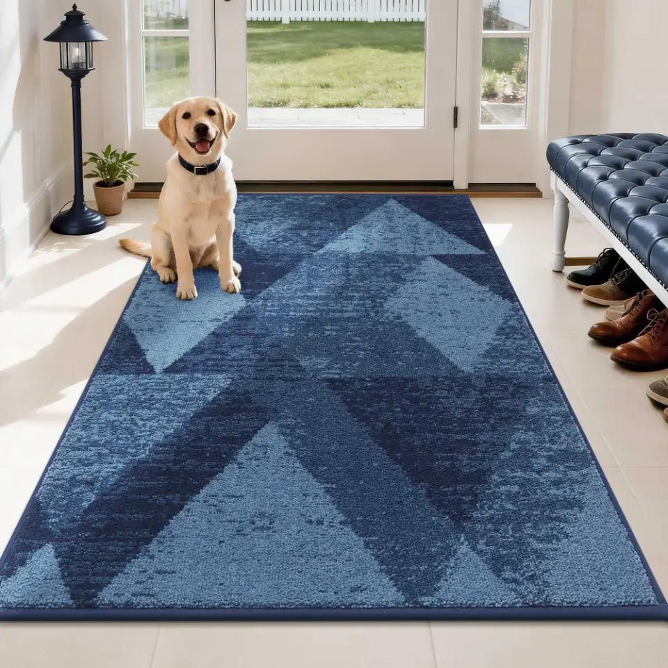 Dog sitting on a blue geometric-patterned rug in a room with a bench and shoes.