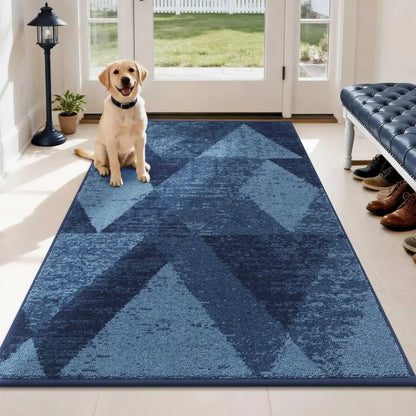 Dog sitting on a blue geometric-patterned rug in a room with a bench and shoes.