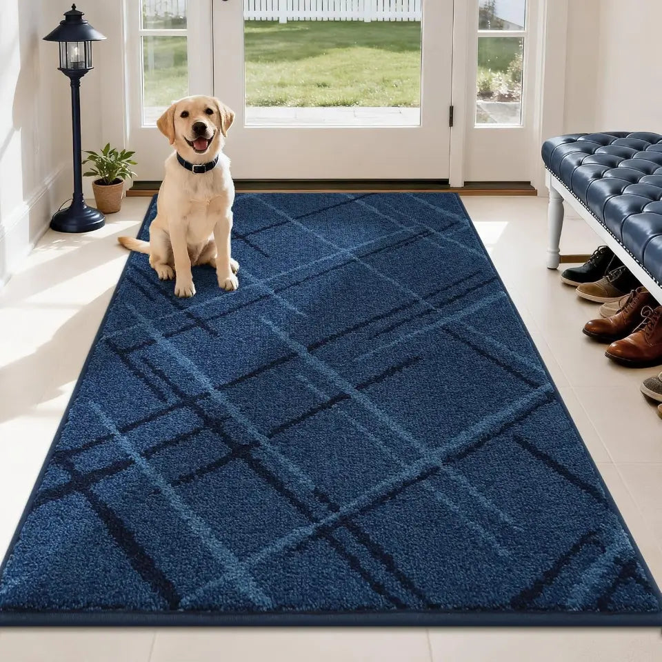Dog sitting on a blue geometric-patterned rug in a room with a bench and shoes.