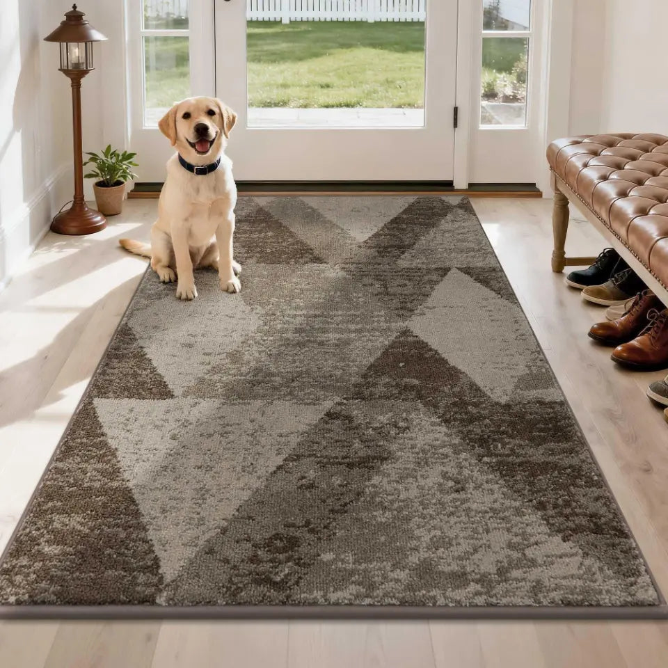 Dog sitting on a brown patterned rug in a room with a bench and shoes.