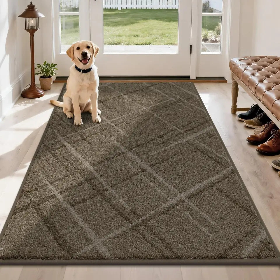 Dog sitting on a brown diamond-patterned rug in a home setting with a bench and shoes in the background.