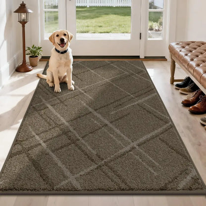 Dog sitting on a brown diamond-patterned rug in a home setting with a bench and shoes in the background.