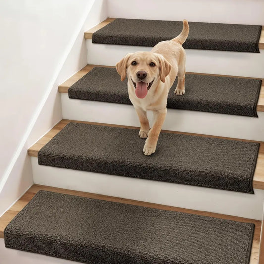 Dog standing on a set of stairs with brown carpeted steps