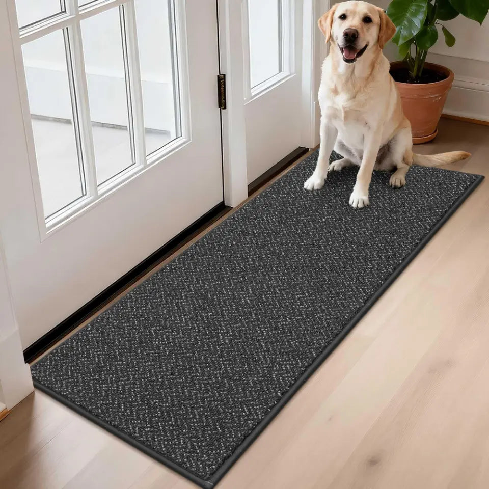 Dog sitting on a dark grey doormat at the entrance of a house