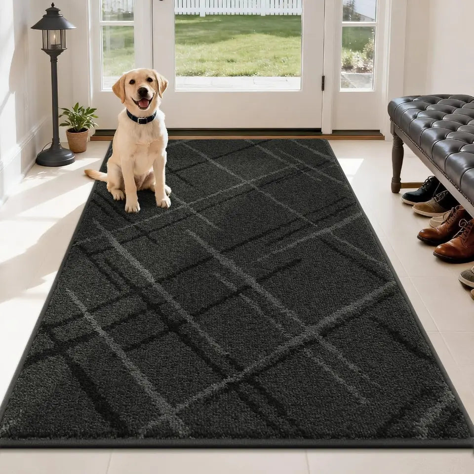 Dog sitting on a dark grey geometric-patterned rug in a well-lit room with a bench and shoes.