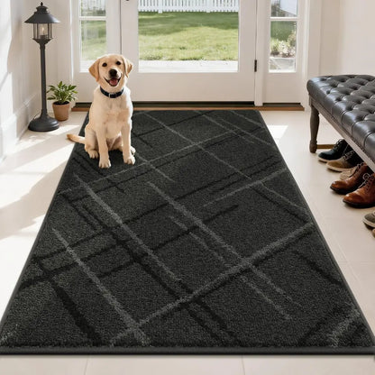 Dog sitting on a dark grey geometric-patterned rug in a well-lit room with a bench and shoes.