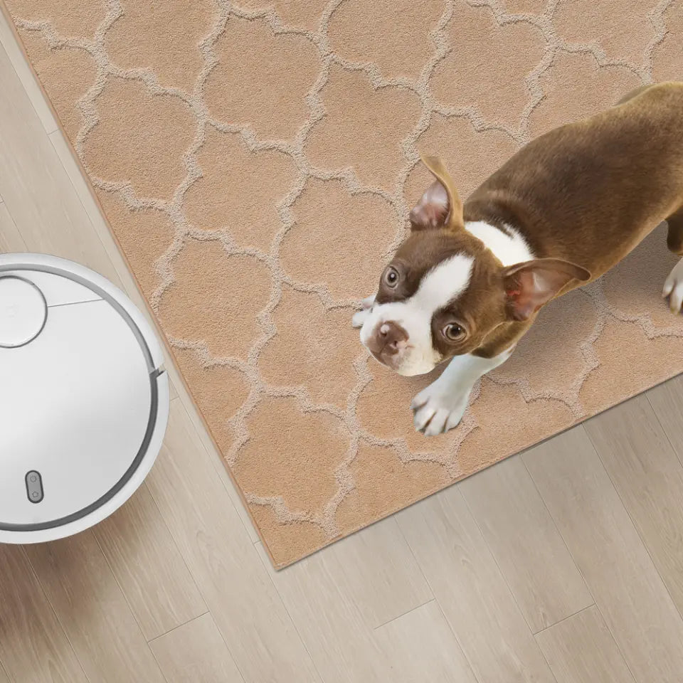 Dog and Robot Vacuum on Beige Large Area Rug