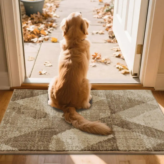 Doggy Waiting on Entryway