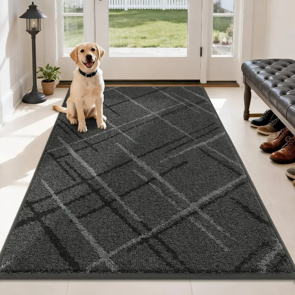 Dog sitting on a grey checkered rug in a room with a bench and shoes.