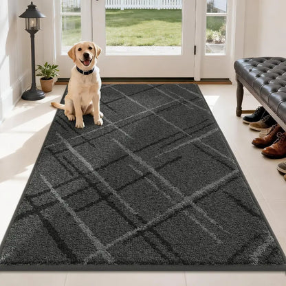 Dog sitting on a grey checkered rug in a room with a bench and shoes.