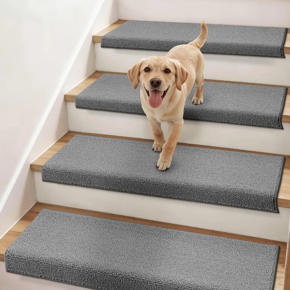 Dog standing on a set of stairs with gray carpet runners