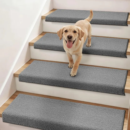Dog standing on a set of stairs with gray carpet runners