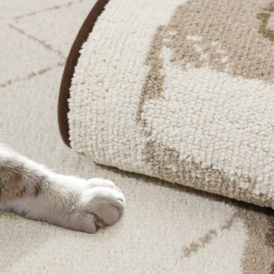 High Density Strong Soft Polyester Piles Dog Doormat