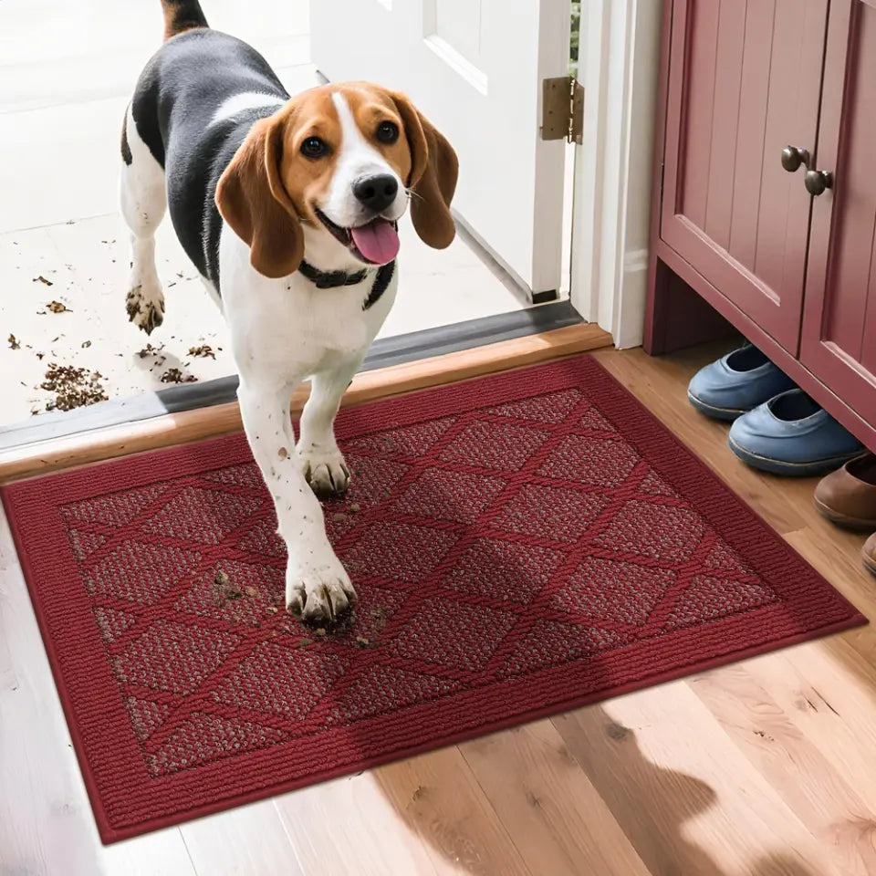 Dog standing on a red doormat with food spilled, next to a door and cabinets.