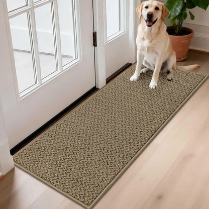 Dog sitting on a taupe doormat in front of a door with a plant nearby
