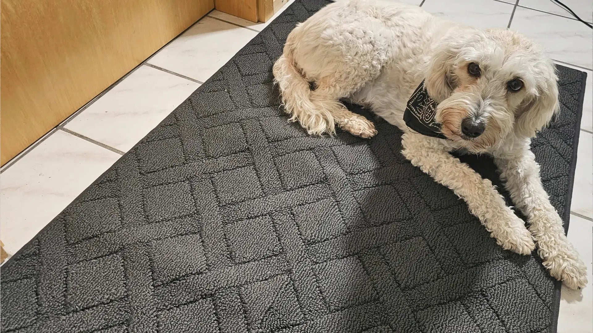 Load video: Video for Comfort COSY HOMEER Classic Mud Doormat