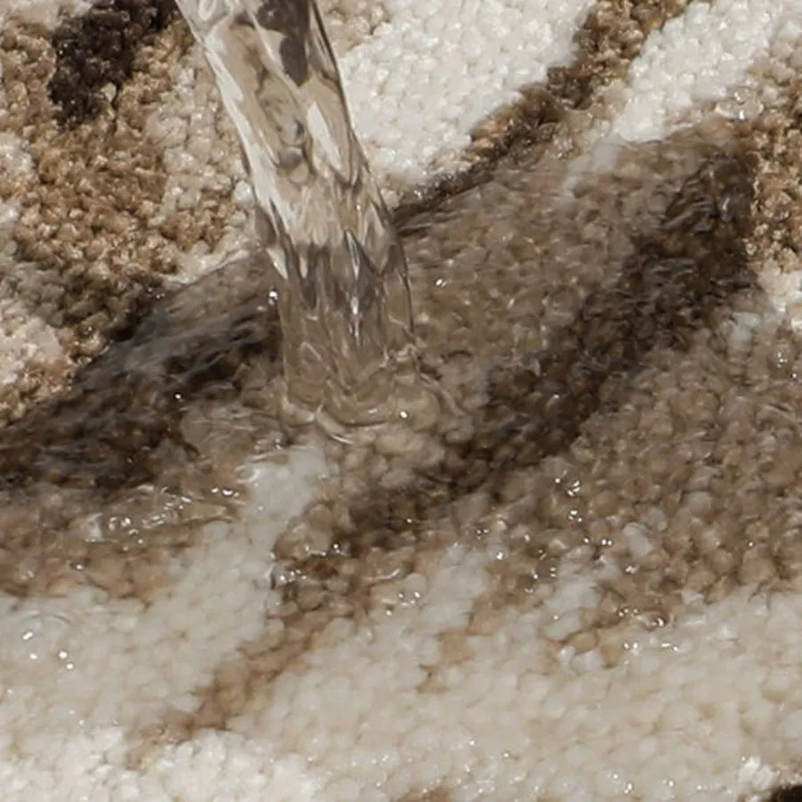 Water Absorbent Cat Welcome Mat